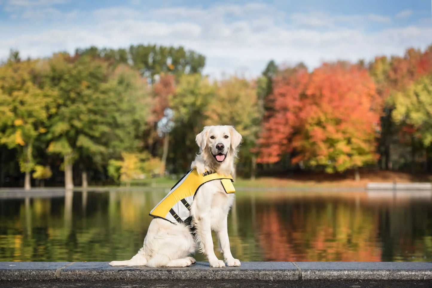 PupFloat Safety Harness™